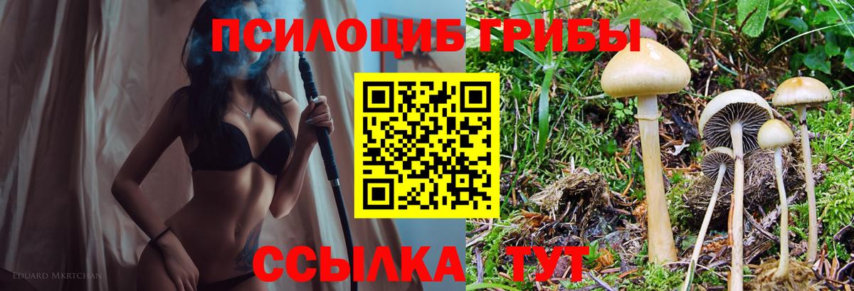 Псилоцибиновые грибы Magic Shrooms Тамбов